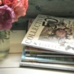 Photo de Profil de Ségolène